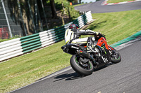 cadwell-no-limits-trackday;cadwell-park;cadwell-park-photographs;cadwell-trackday-photographs;enduro-digital-images;event-digital-images;eventdigitalimages;no-limits-trackdays;peter-wileman-photography;racing-digital-images;trackday-digital-images;trackday-photos